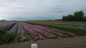 20141005_171557