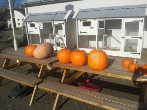 20141102_110005