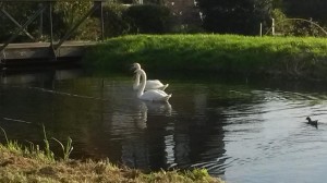 20141109_102904