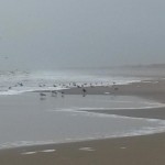 20150125_102026