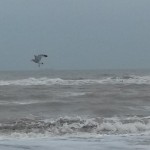 20150125_102111