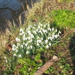 20150215_122220