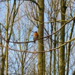 20150222_102859