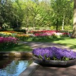 20150513_092911