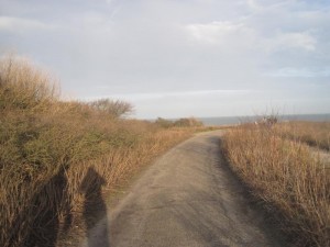 IF