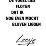 images[10]